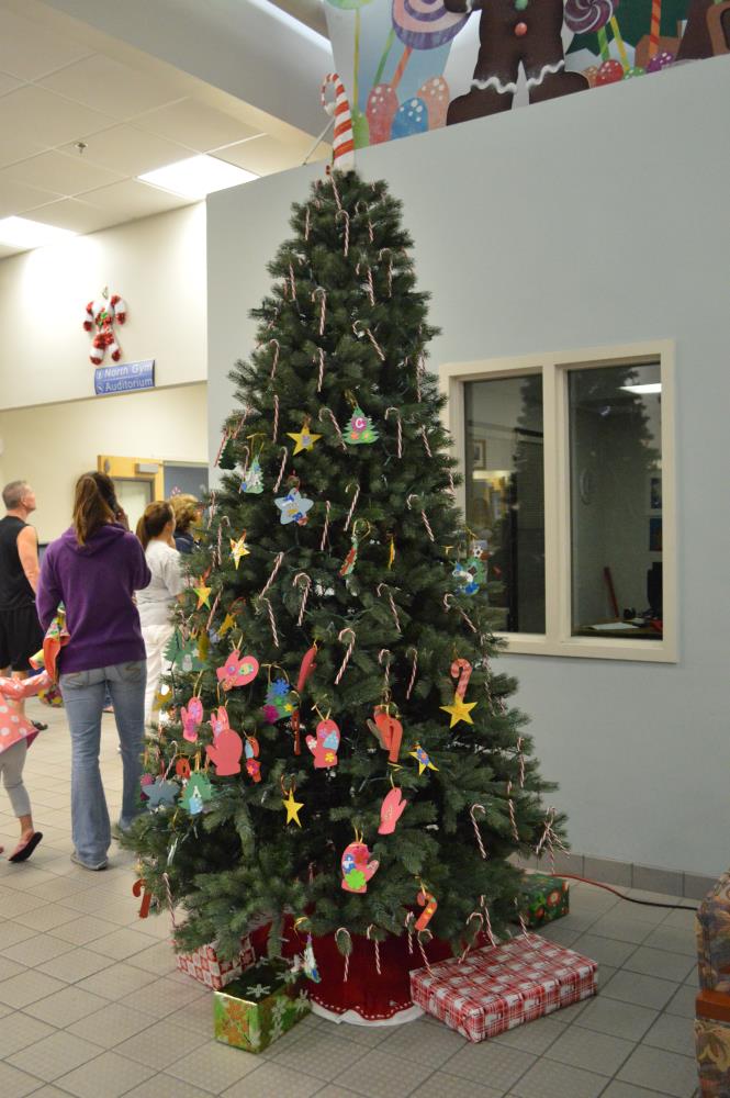 Tree Lighting 2014 15